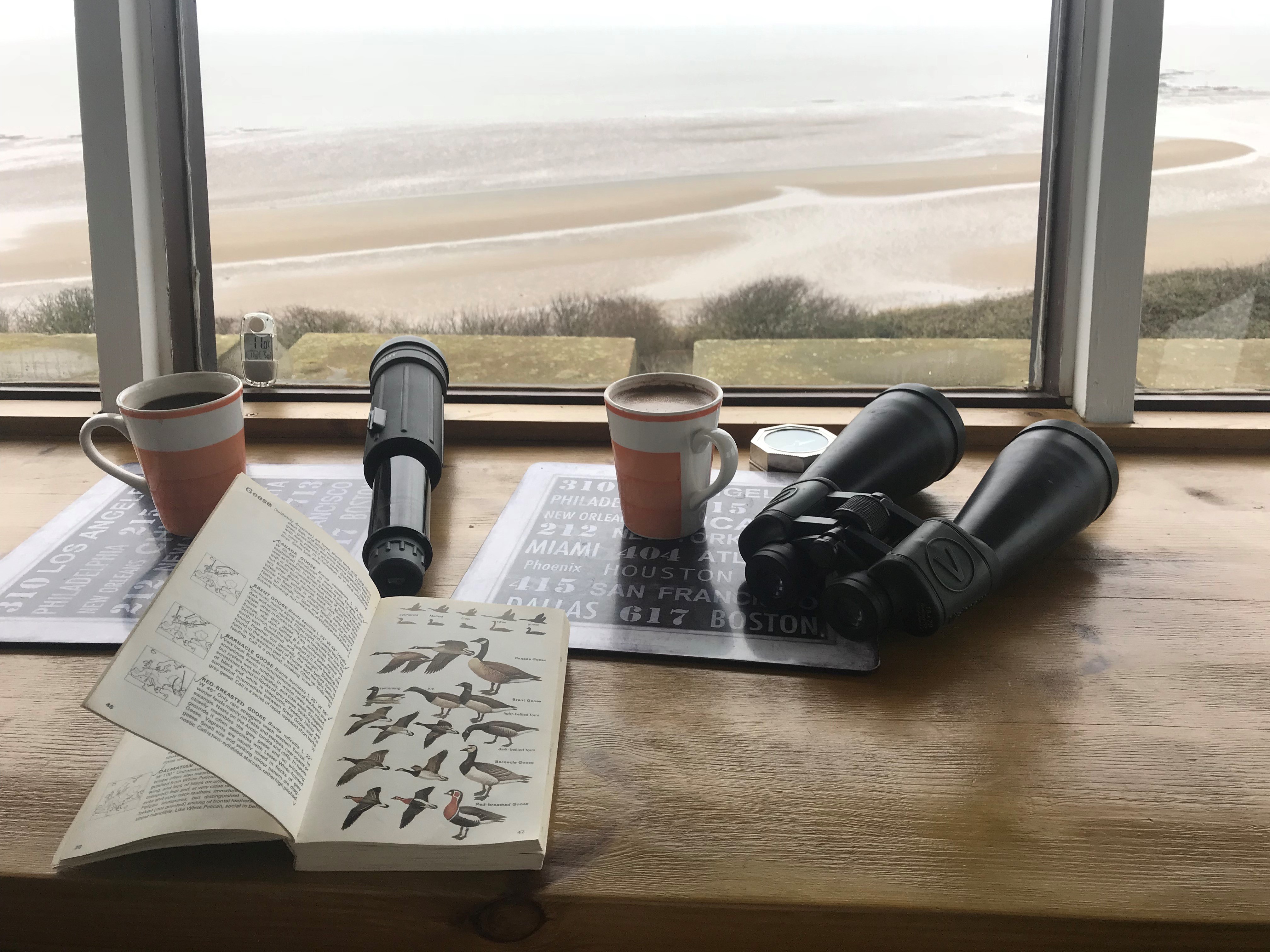 Sea View Birdwatching Hunstanton